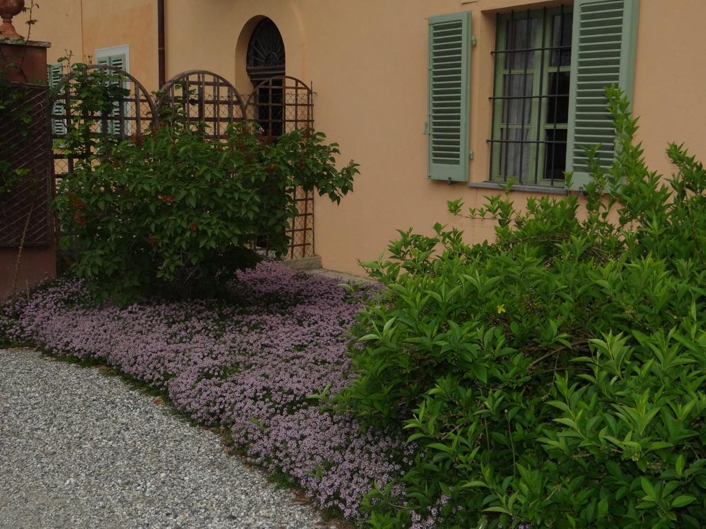 B&B Il Quadrifoglio Sciolze Exterior foto